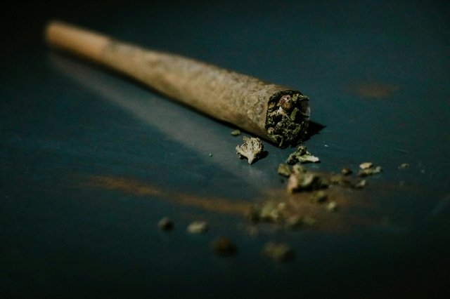 Indica vs Sativa vs Hybrid: What’s the Difference? Indica vs Sativa vs Hybrid: What’s the Difference?