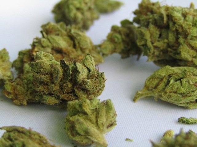 Indica vs Sativa vs Hybrid: What’s the Difference? Indica vs Sativa vs Hybrid: What’s the Difference?