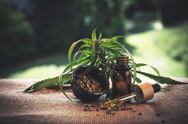Cannabis leaves with cannabinoid oil droppers
