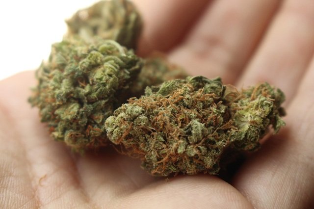 THCA vs THCP: Differences, Effects, Potency & More THCA vs THCP: Differences, Effects, Potency & More