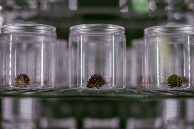 Benefits of Storing Cannabis Flower Properly