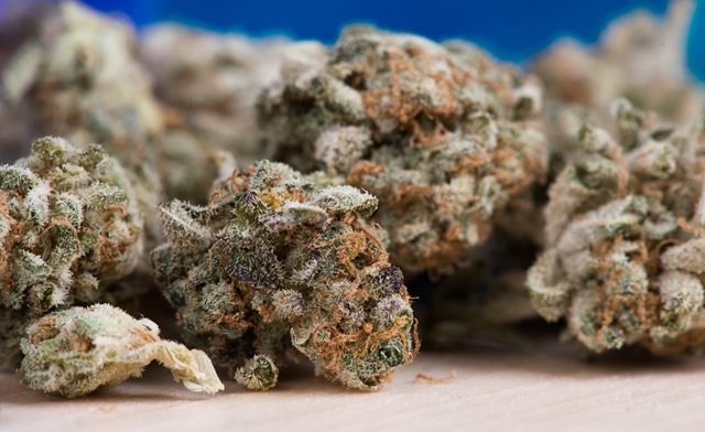 How to Evaluate Prepackaged Weed and Loose Flower How to Evaluate Prepackaged Weed and Loose Flower