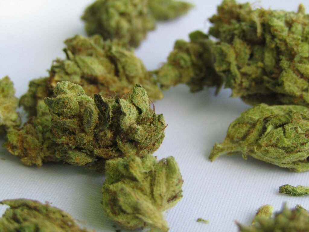What Is Popcorn Weed? Small Buds vs. Larger Flower