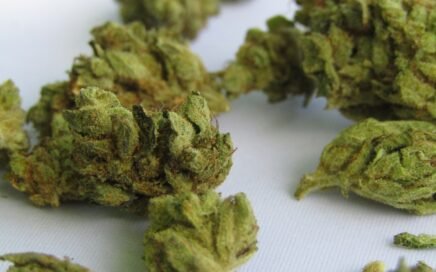 What Is Popcorn Weed? Small Buds vs. Larger Flower