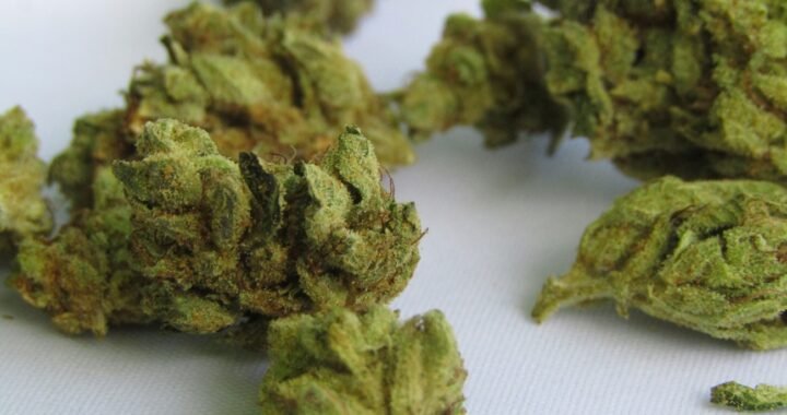 What Is Popcorn Weed? Small Buds vs. Larger Flower